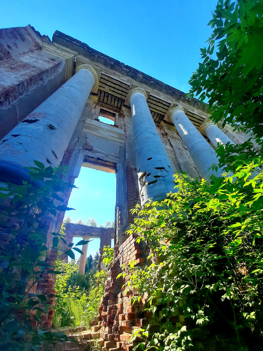 Усадьба Петровское - Княжищево 