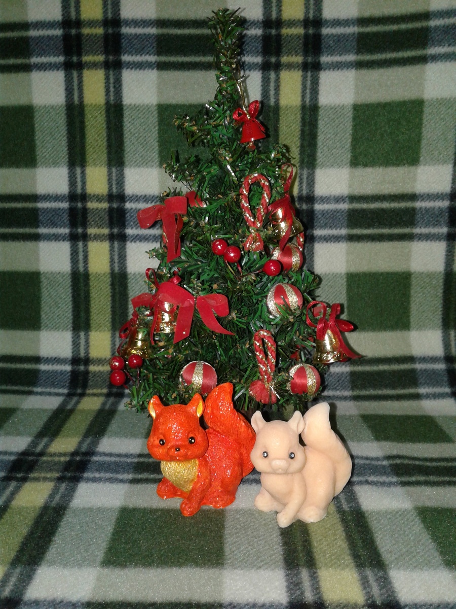 Две белочки.