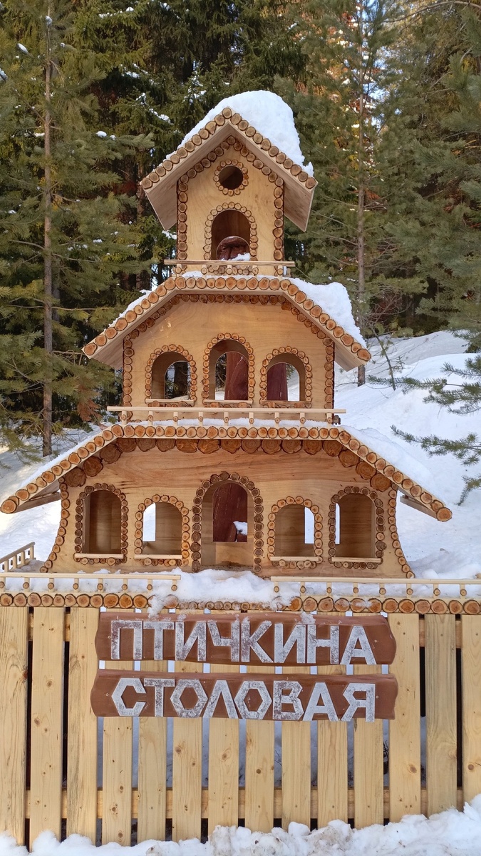 волшебная кормушка