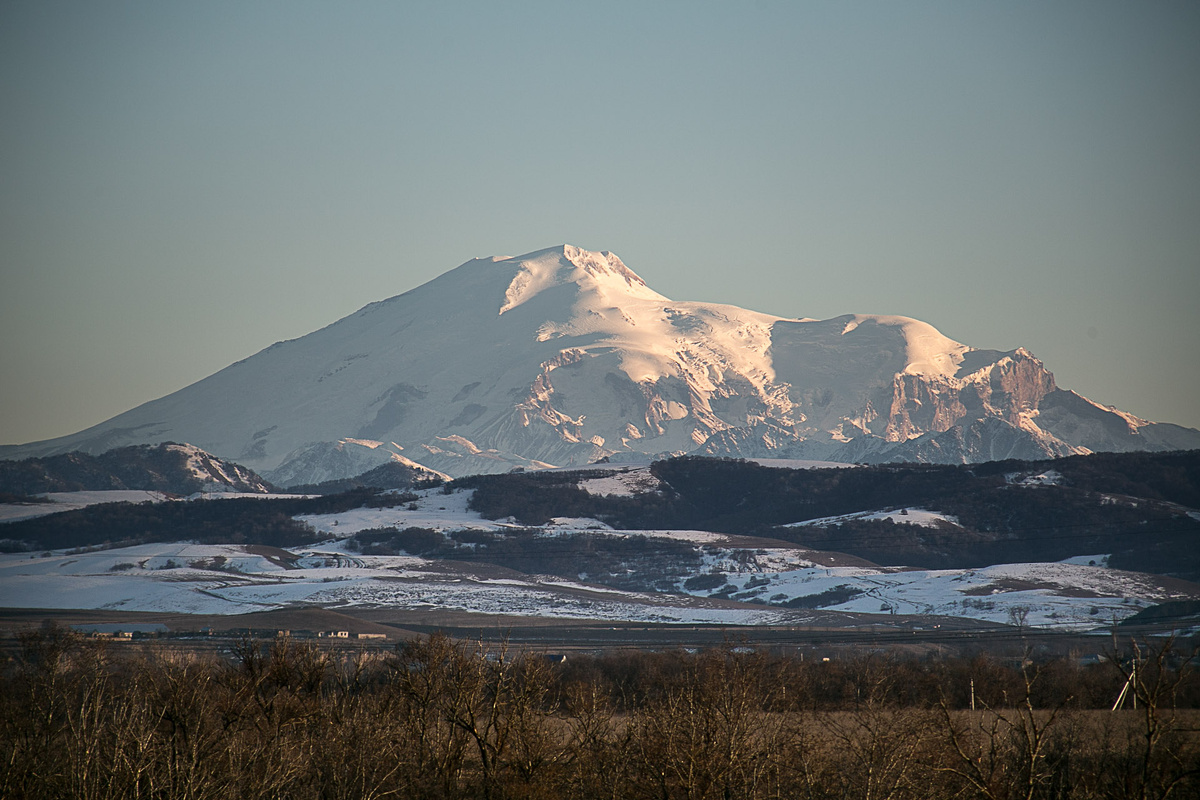 Автор Елена Якимова / Greenfingers