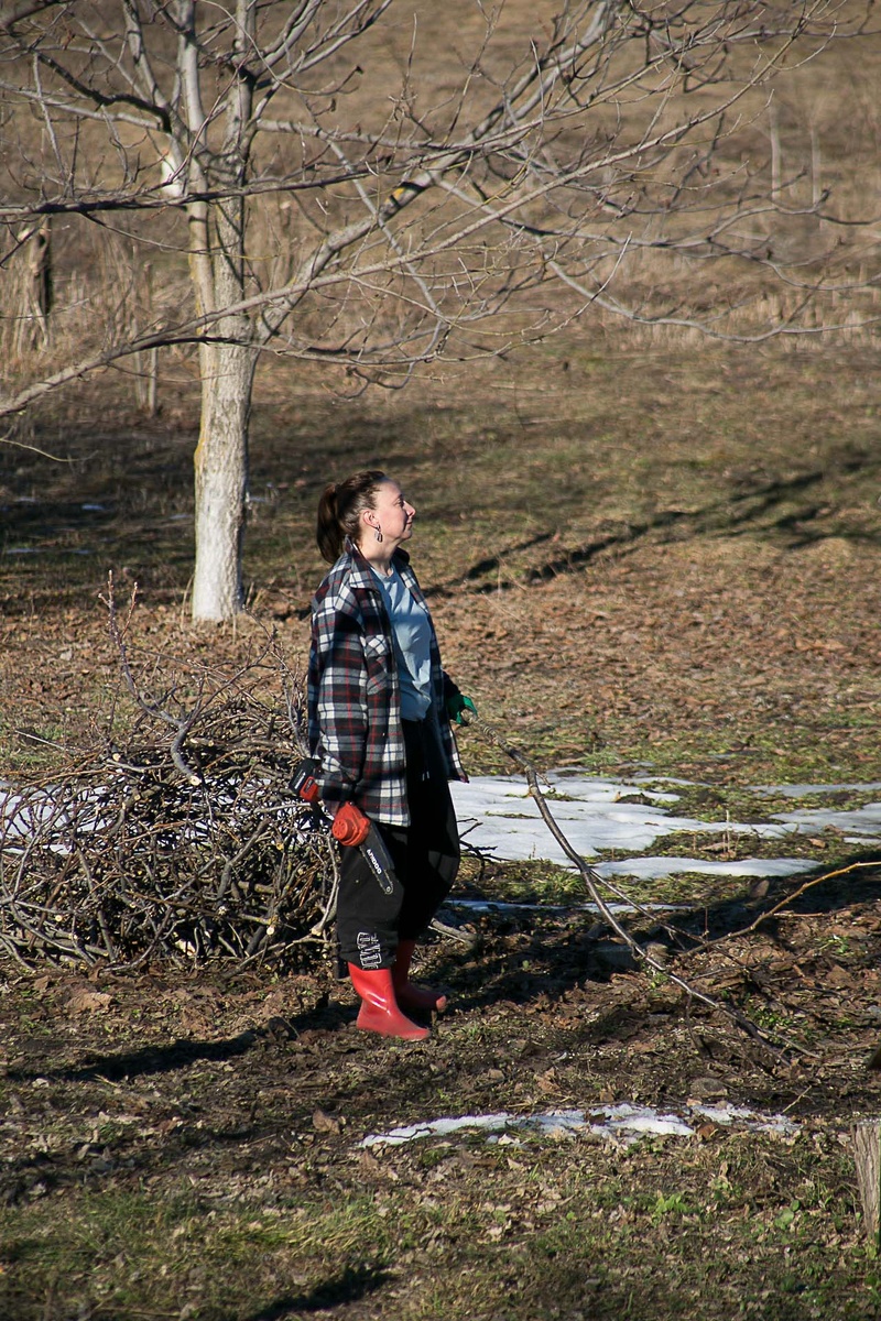 Автор Елена Якимова / Greenfingers