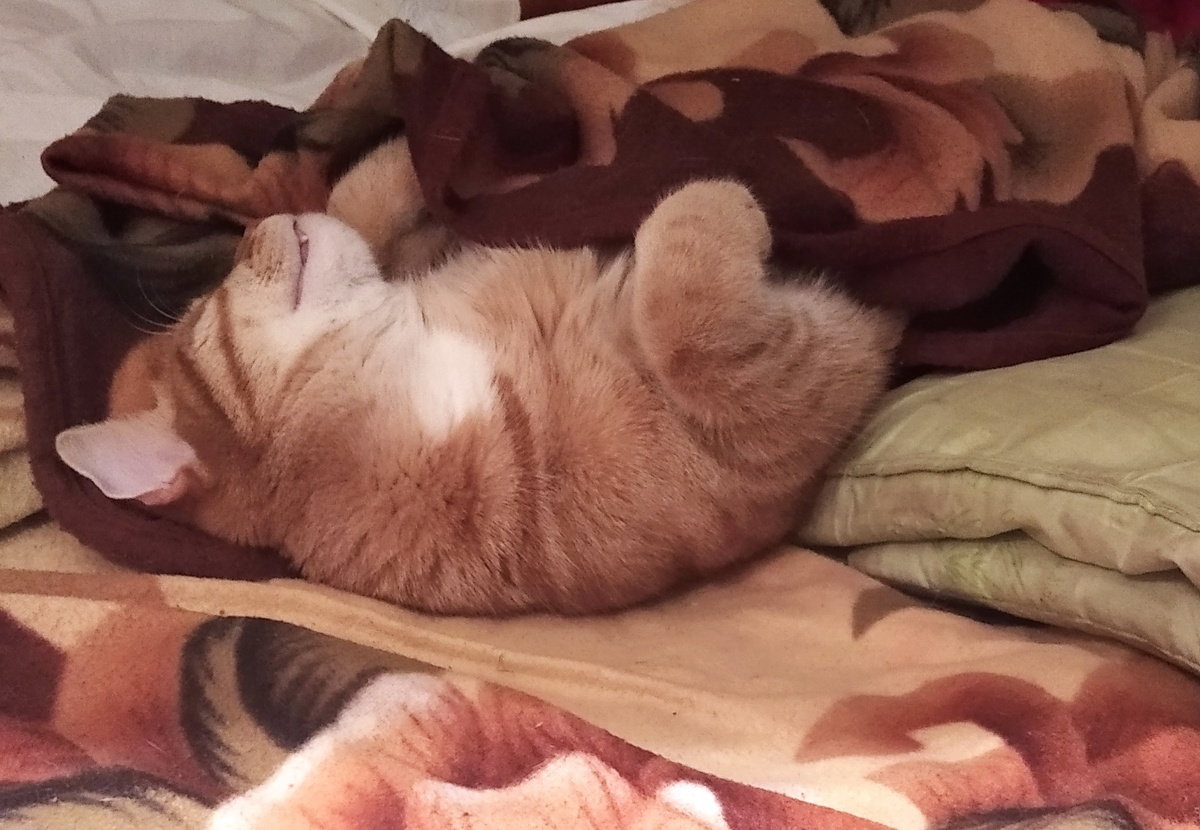 личное фото