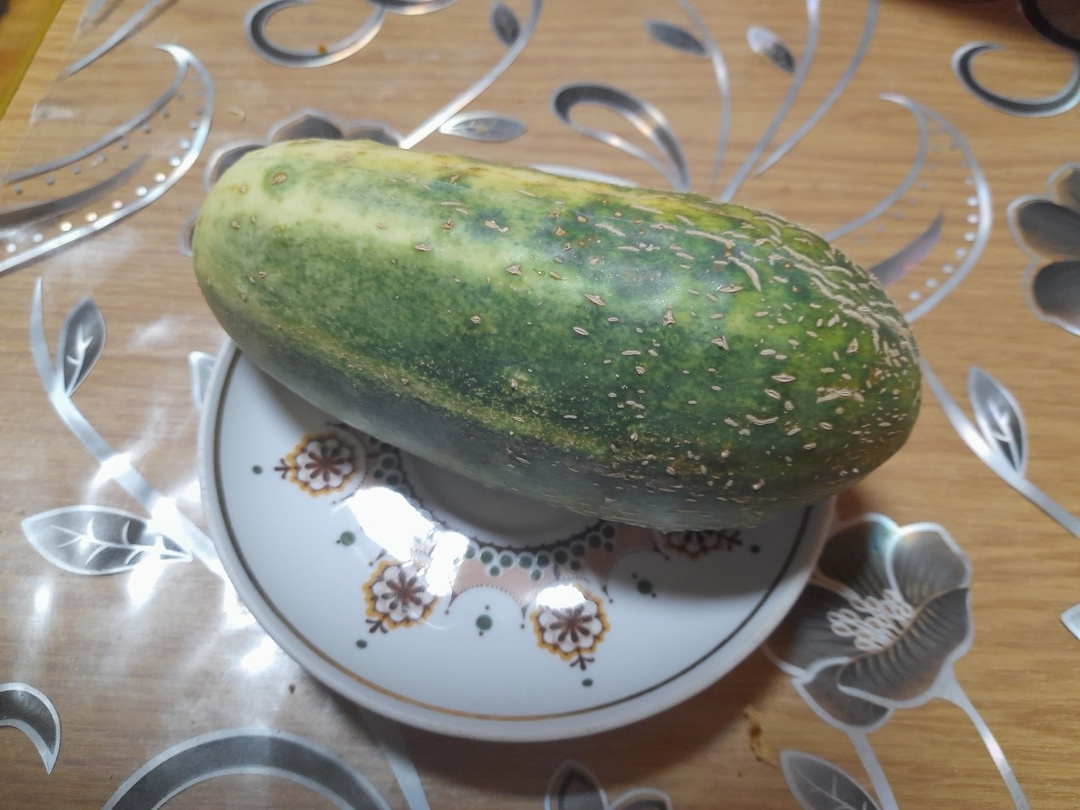 Огурец Литл Лиф на семена