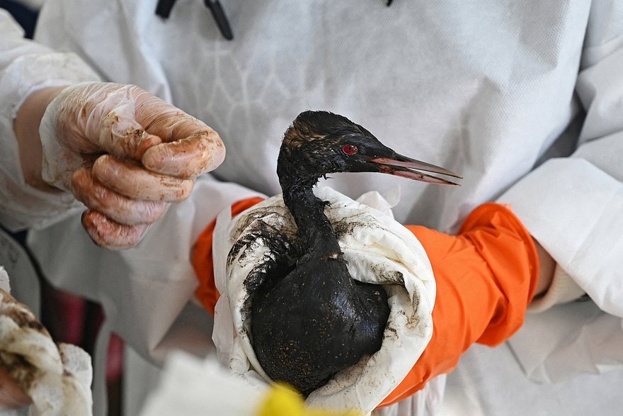    Фото: Sergey Pivovarov / Reuters