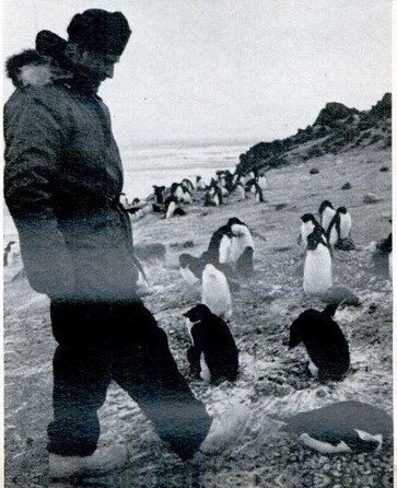 Доктор фон Браун знакомится с пингвинами - и один из них
них настойчиво советует ему следовать туда, куда он идет, -
на лежбище на мысе Ройдс, недалеко от базы Мак-Мердо.