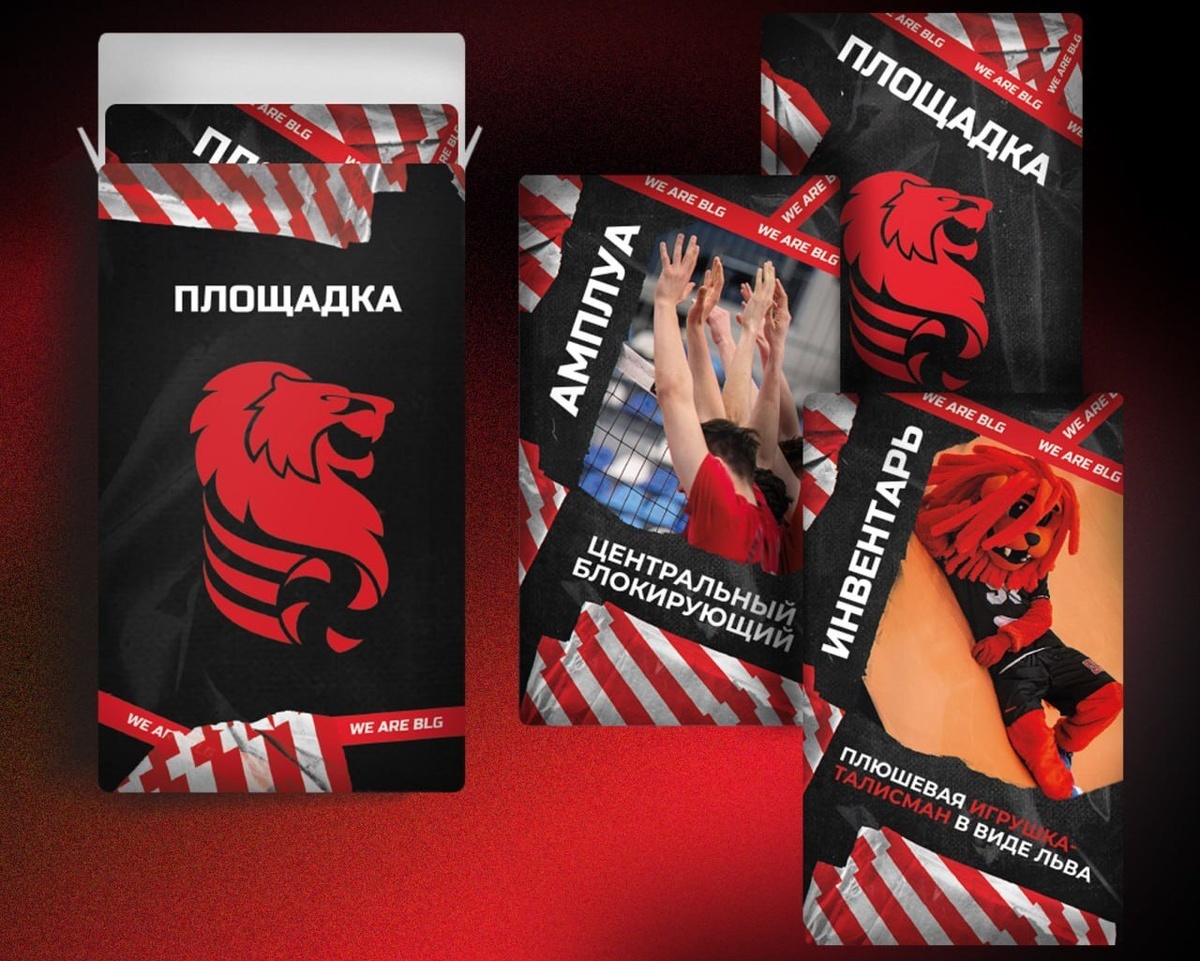    Фото: store.belogorievolley.ru