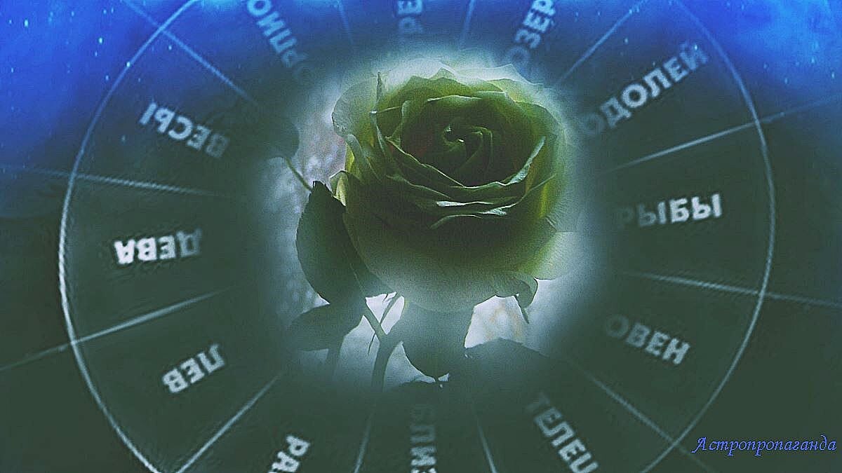 Гороскоп на неделю с 13 по 19 января 2025: каждая планета о своём. 