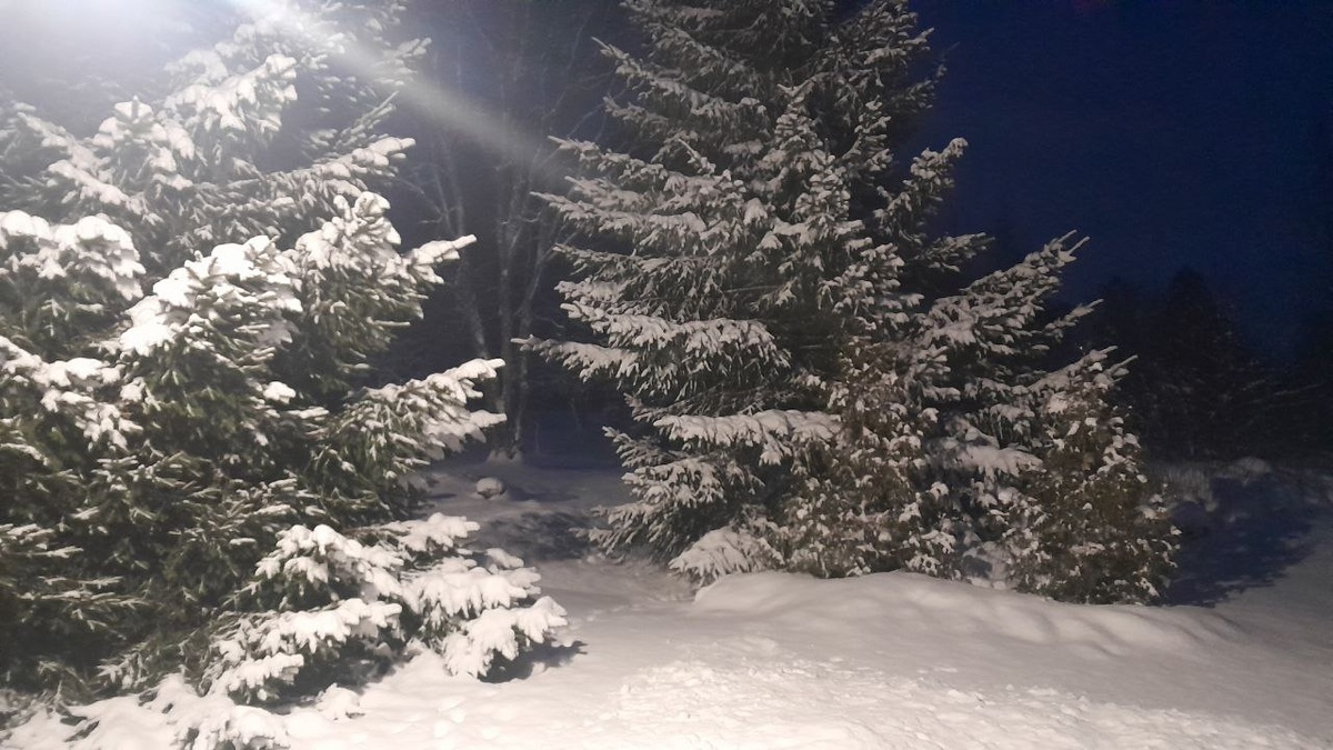 К Рождеству подбелили и приукрасили