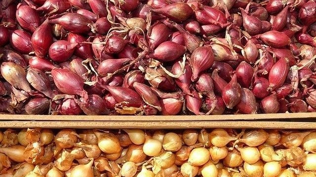 Посадочный материал лука-севка. Фото с pinterest.com