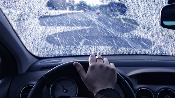    В Краснодаре объявили штормовое предупреждение Виктория Шварц