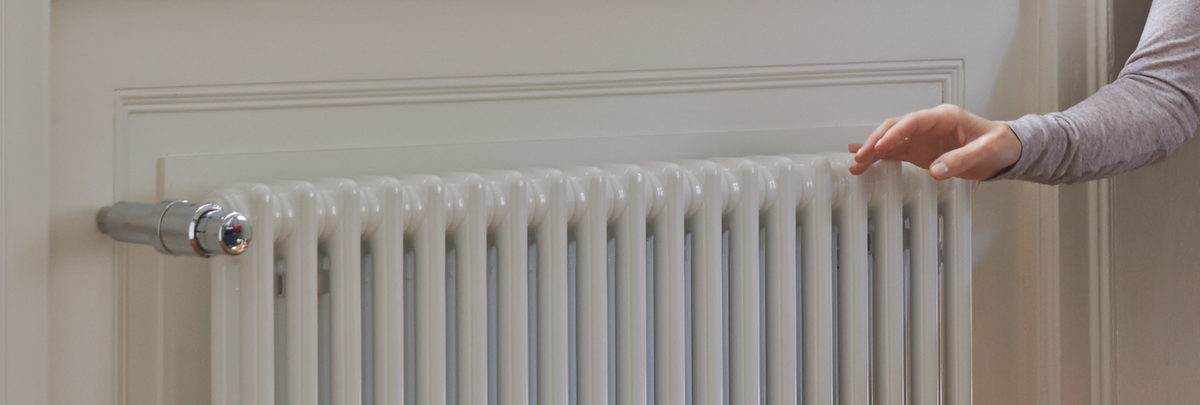 Zehnder Charleston цвет RAL9016 (белый)