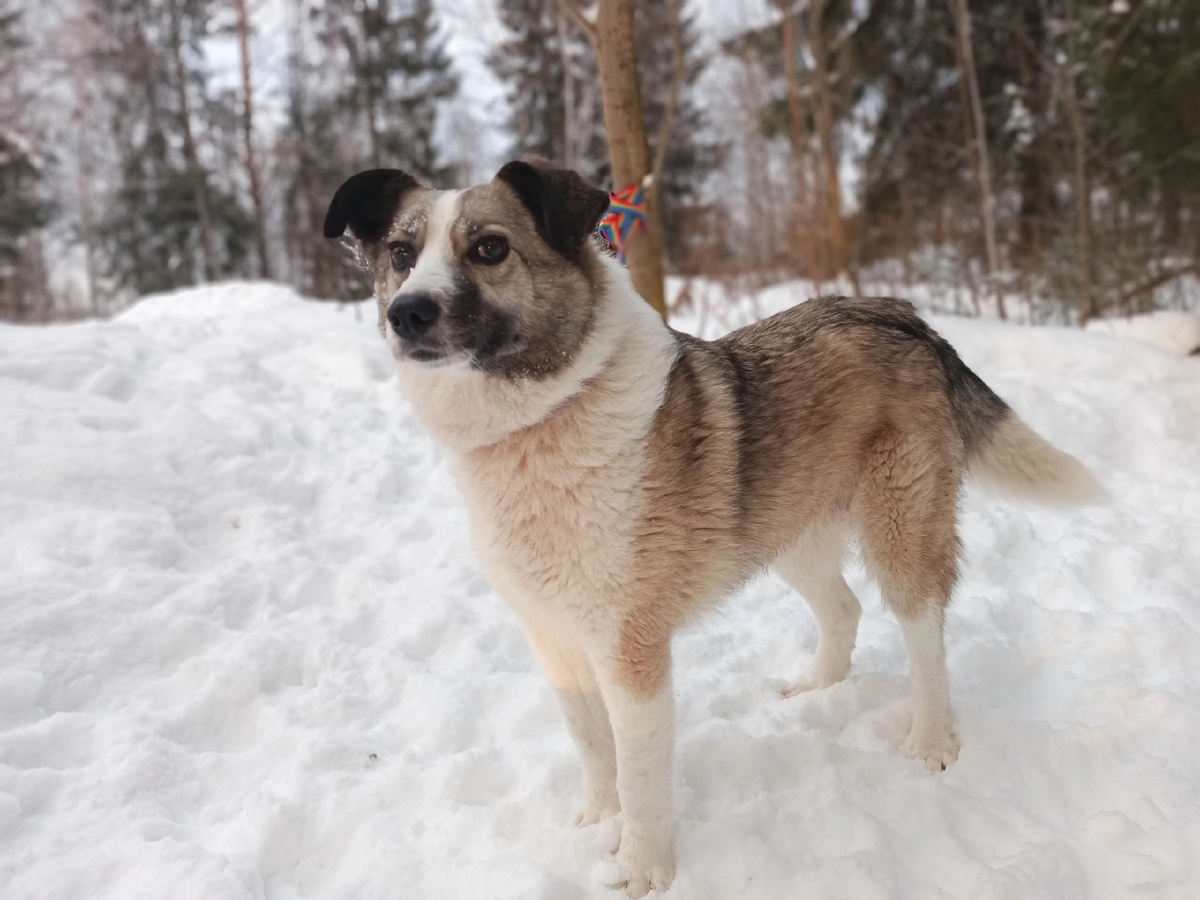 Почему так хочется на неё смотреть и смотреть.