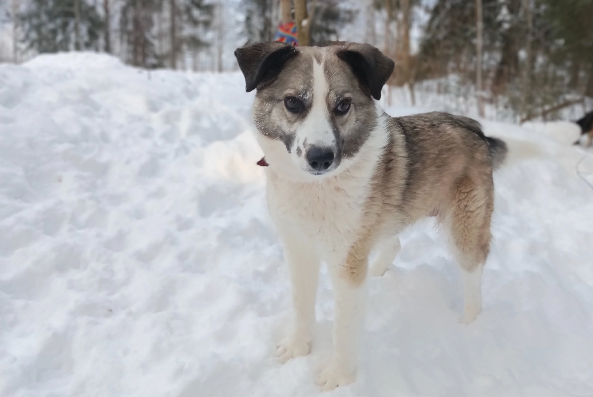 В толпе Дина никогда не останется незамеченной.