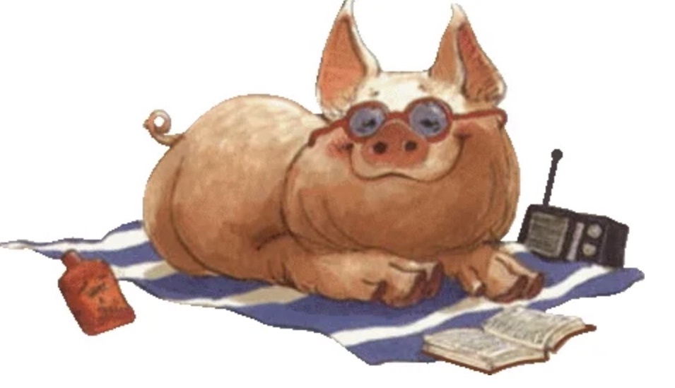 Картинка из свободного доступа 