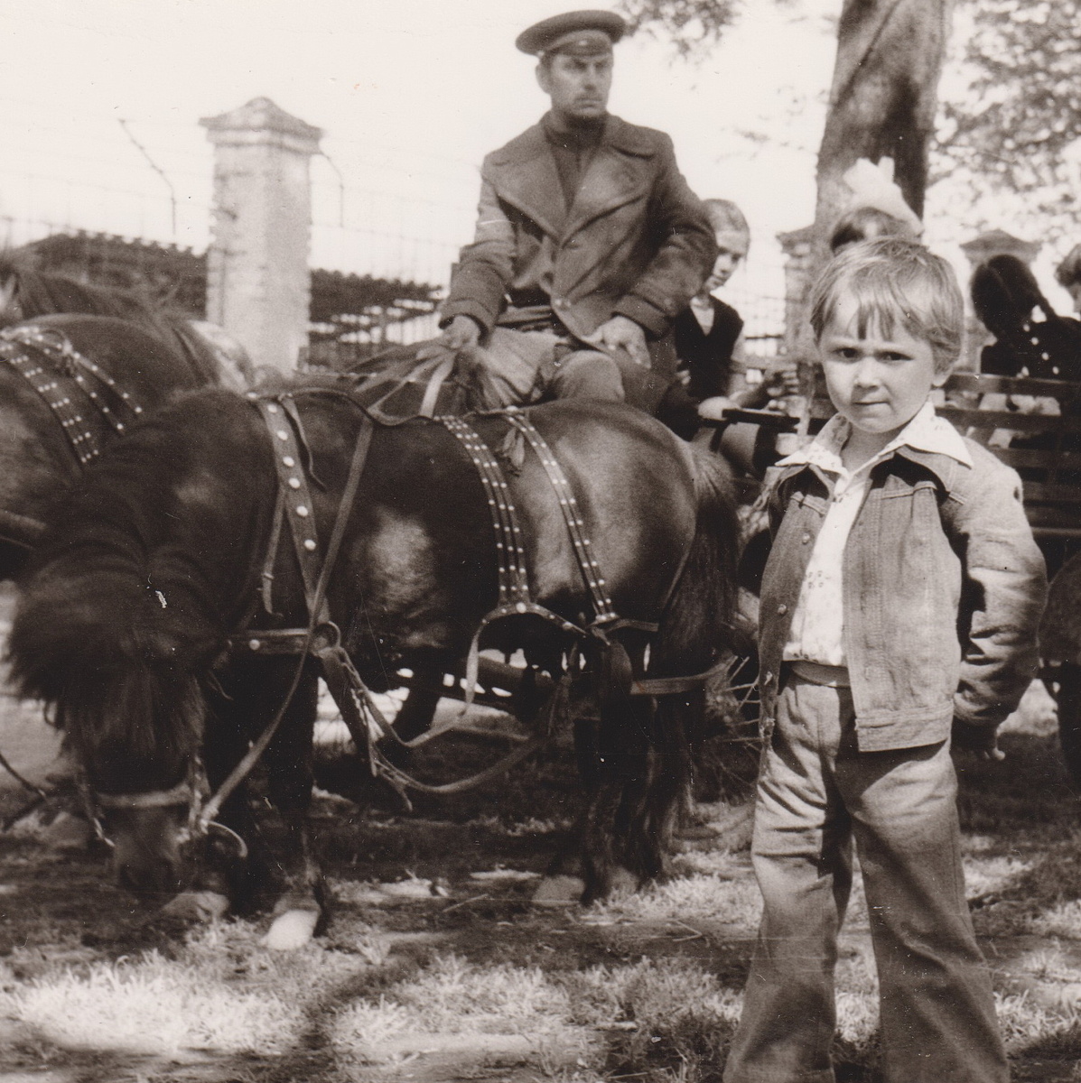 Антошка в 6 лет