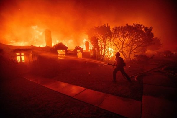    Трагедия в Голливуде. Фото: ТВЦ
