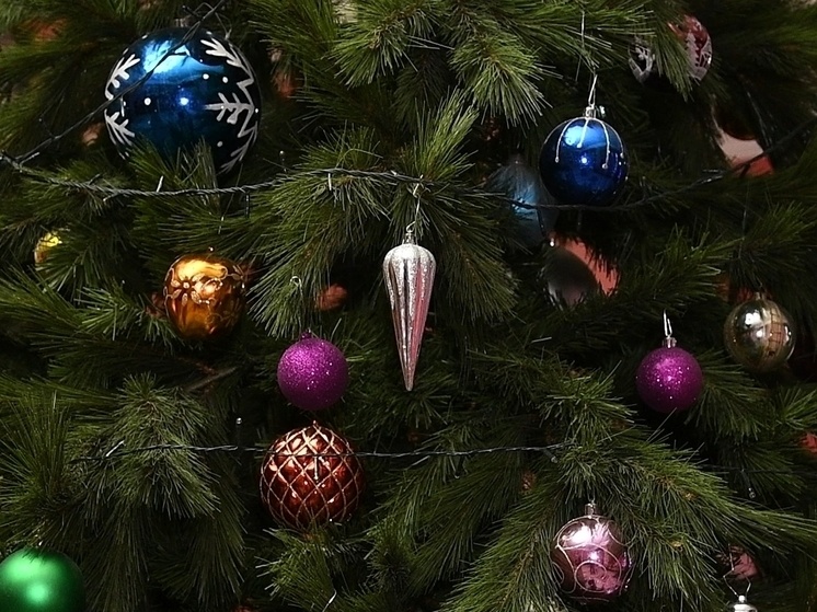     © Фото: ИД «Волгоградская правда» / Сергей Григоренко; bestkartinki.ru, proprikol.ru.