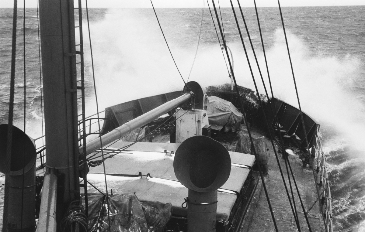     «Георгий Седов» / Legion-Media / Александр Овчинников/ТАСС