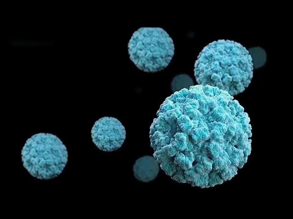 Изображение из открытого источника в интернете. 