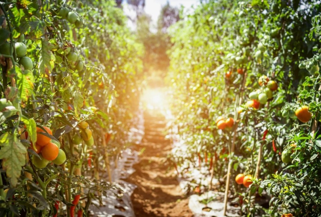 Фото из архива