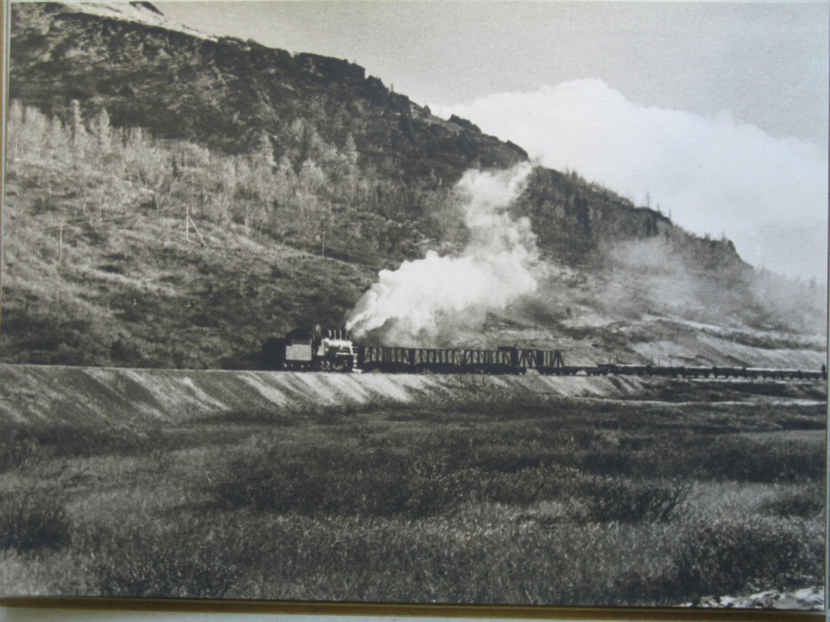 Состав на трассе Трансарктиченской железной дороги на Полярном Урале