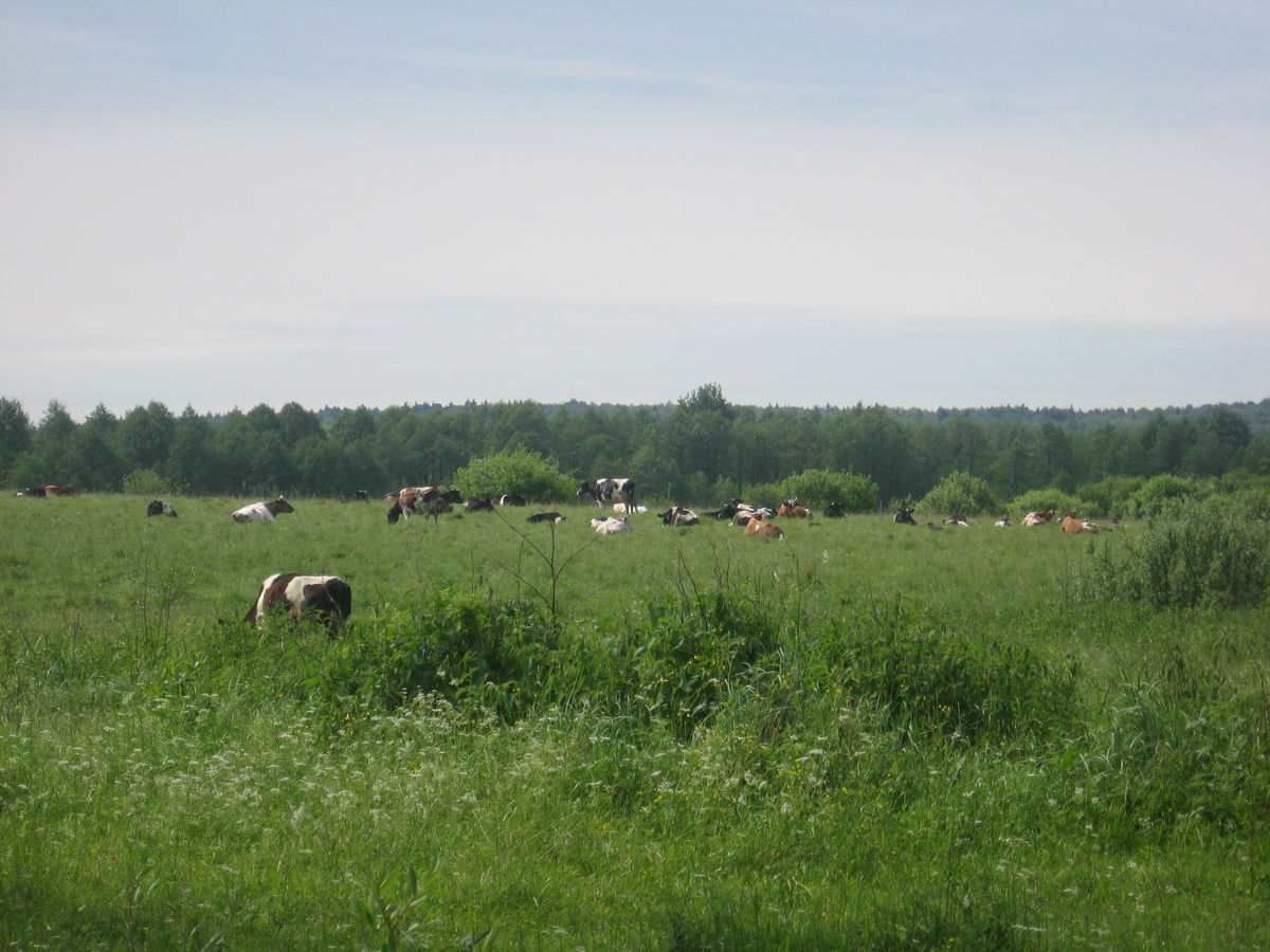 фото автора.2008 год.