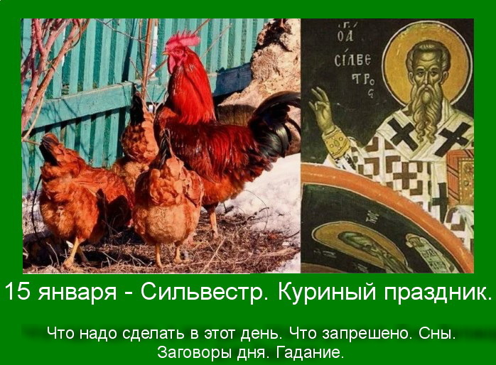 Источник : Яндекс картинки.