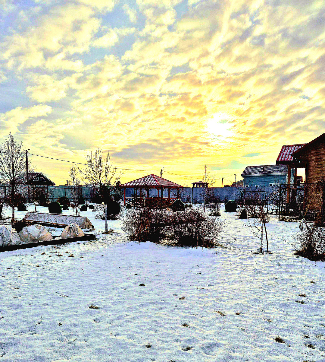 Середина января. 2025 год. Снежный покров совсем хилый, а к выходным еще стает