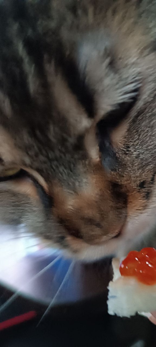 Это я ем вкусное красновое