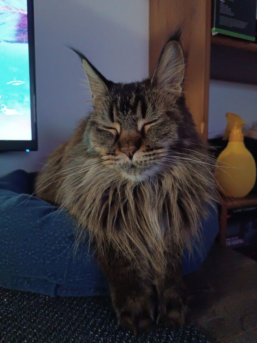 А это просто я, довольновая