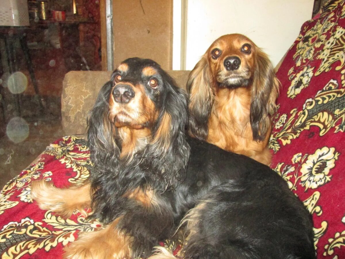 Эмма и Артур