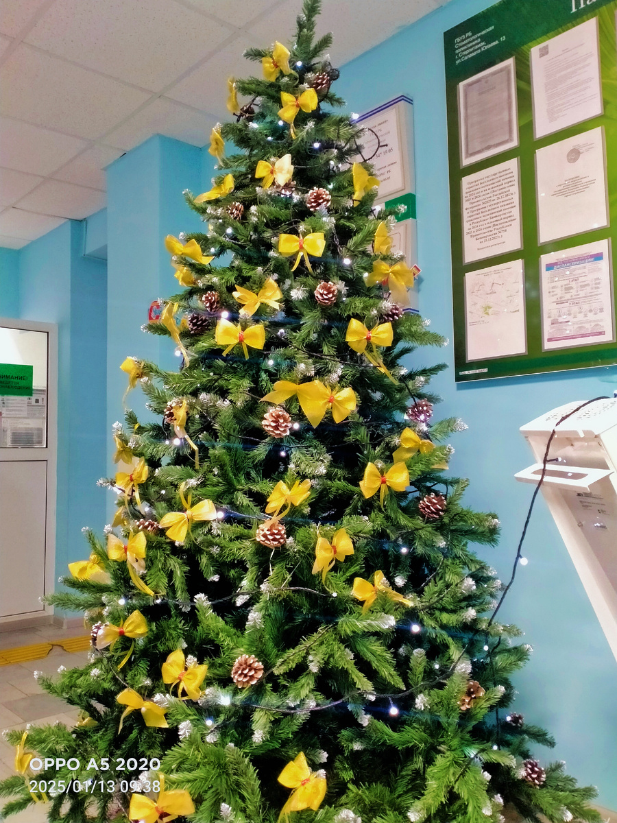 В стоматологии ещё стоит ёлка. Всё-таки старый Новый год. 