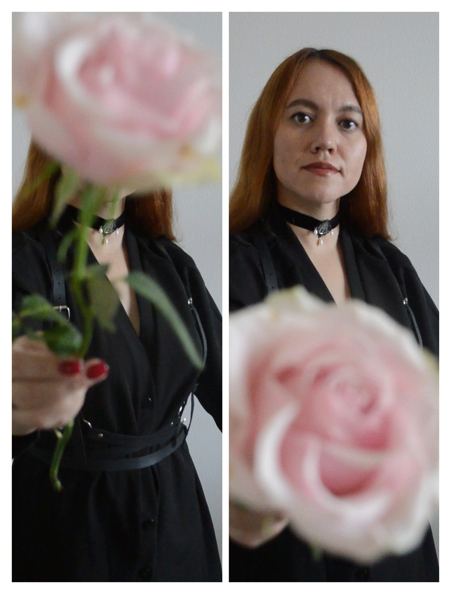 Роза в качестве приглашения присоединиться к танцу