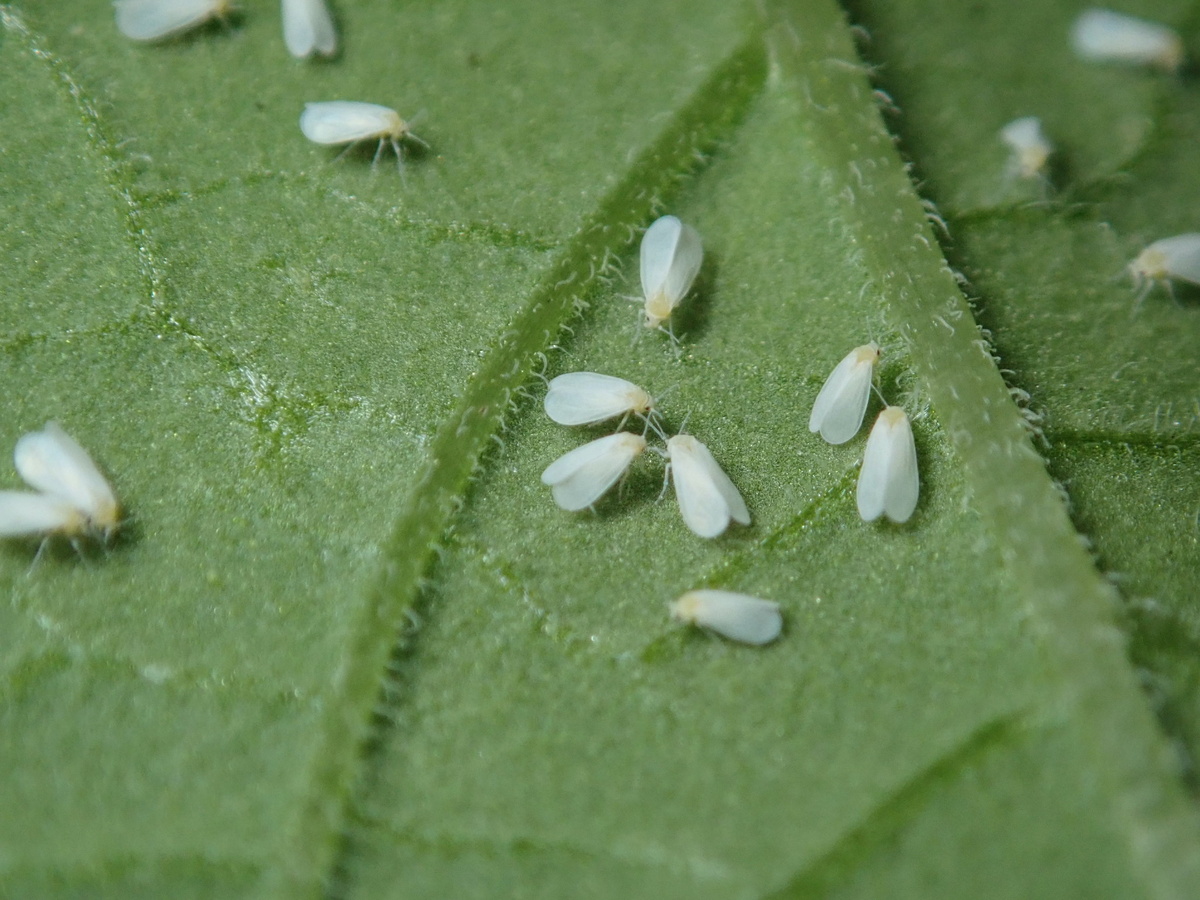 Фото из архива