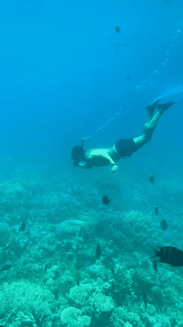 Фото отдыхающего с снорклинга