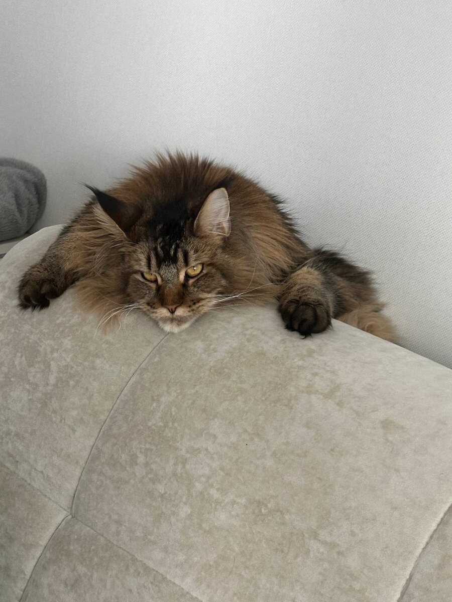 Фото из личного архива.