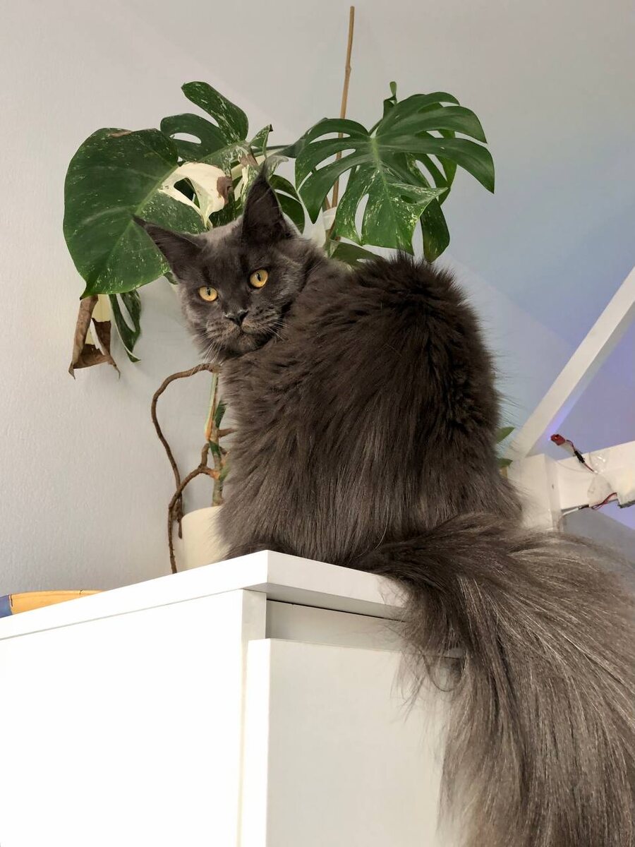 Фото из личного архива.