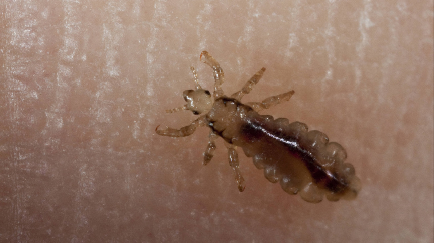    Фото: www.globallookpress.com/ F. Hecker