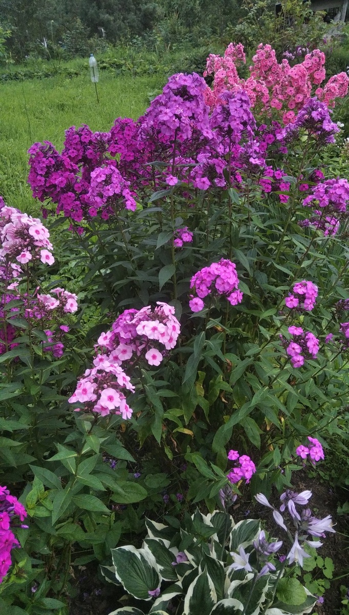 1. В галерее 2 фото, листайте