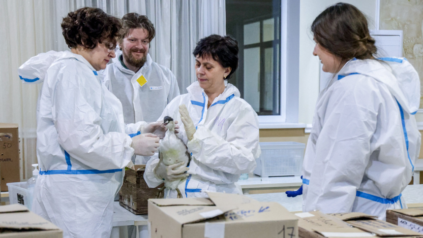    Фото: Феоктистов Дмитрий/ТАСС; Администрация муниципального образования Ейский район/yeiskraion.ru; 5-tv.ru