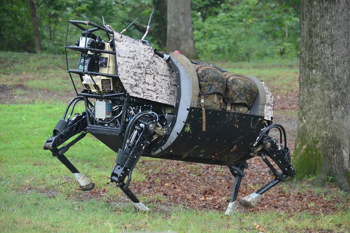    Одна из моделей Boston Dynamics. © wikipedia.org