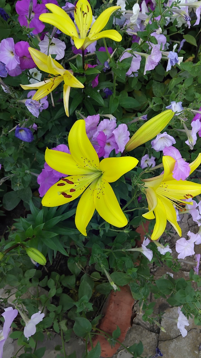 Личное фото от автора 