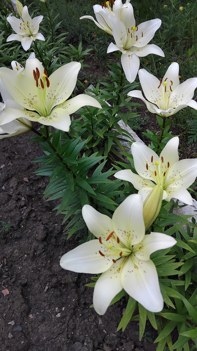 Личное фото от автора