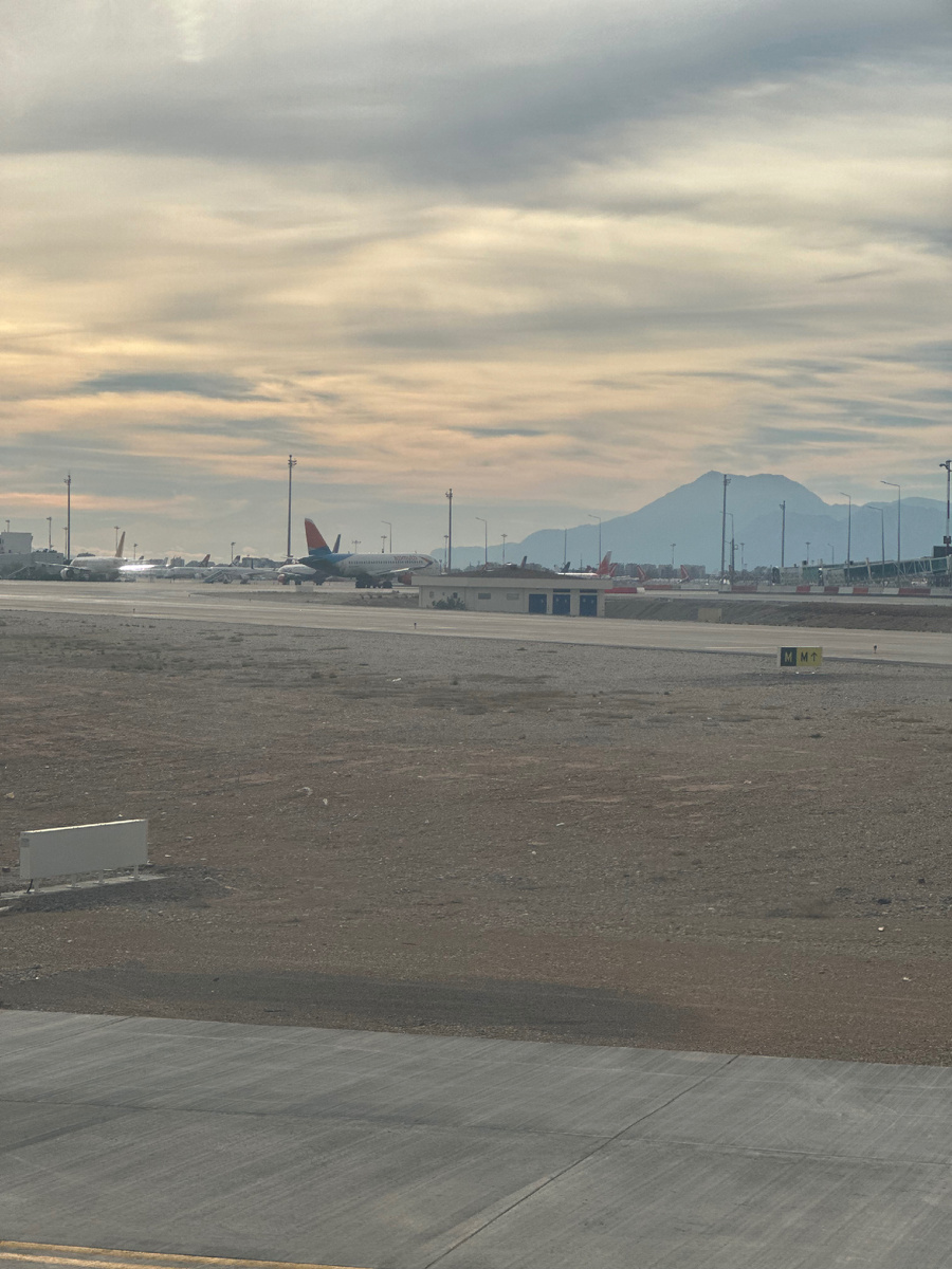 Вот он бедняга стоит, ждёт своей участи