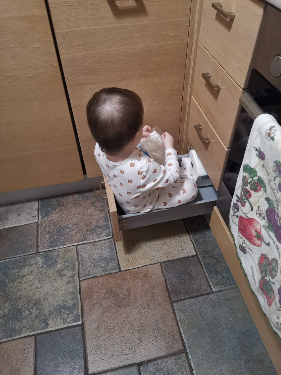 В ящик Красота забралась сама, естественно) и на всякий случай: это не лысина, а свет так падает. 