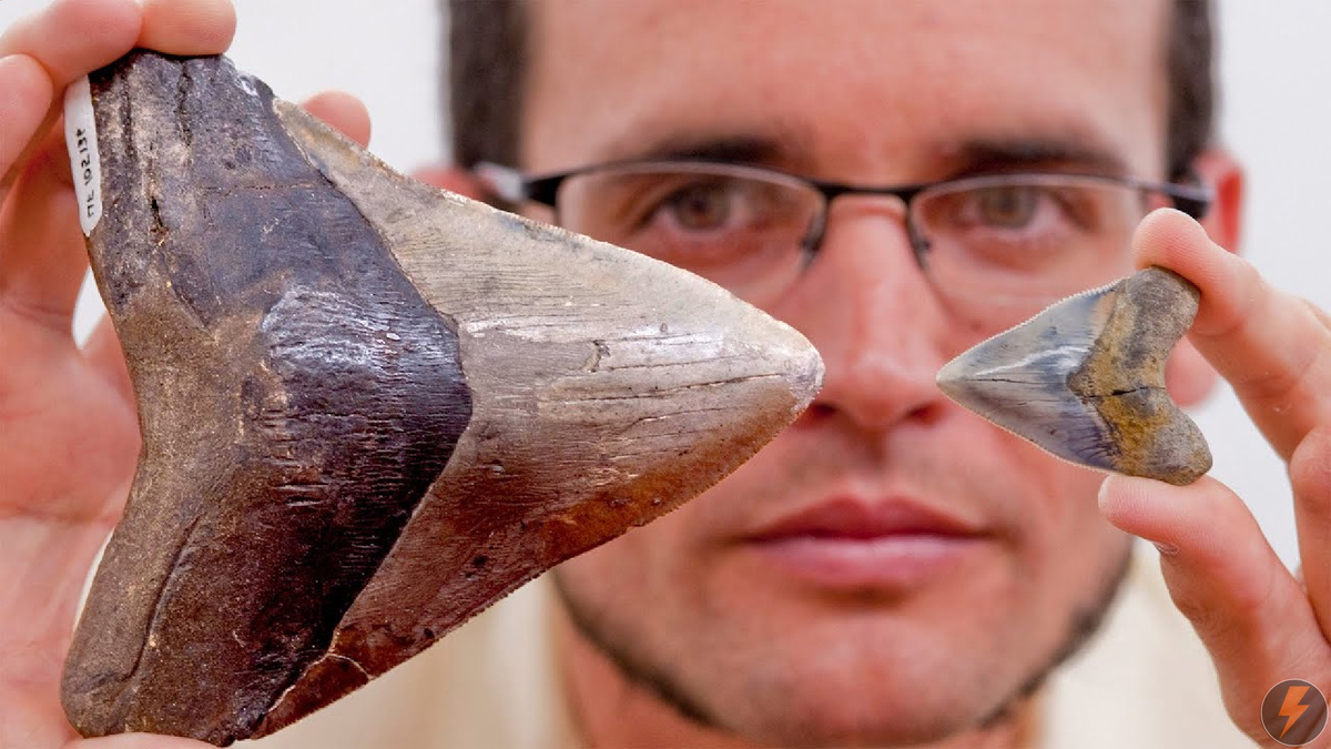 Вам точно будет интересно, дочитай до конца!