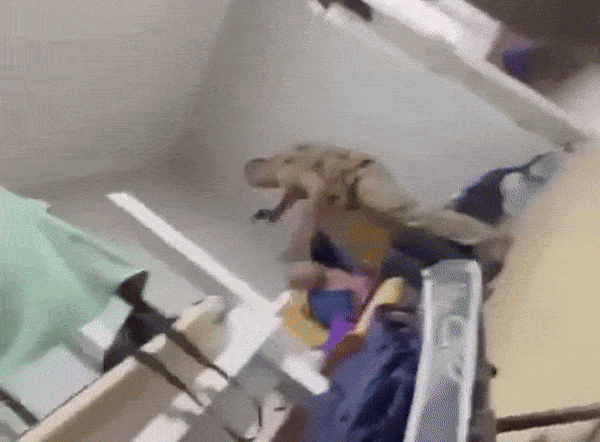    Украинский военком объясняет пойманному на улице мужчине, почему тот должен пойти на войну и погибнуть за "нэньку". Источник: ТГ-канал "Мир сегодня с "Юрий Подоляка"