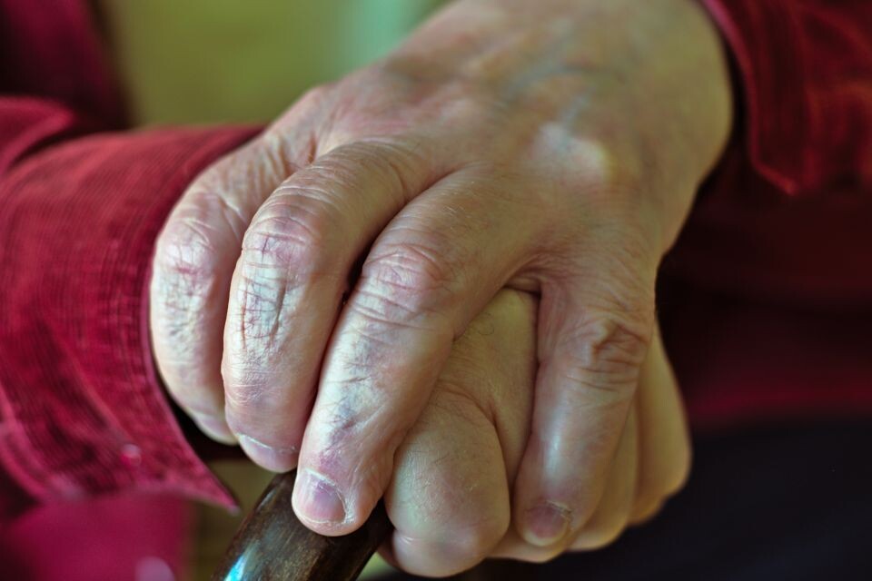    Пенсионер. Пожилой человек. Источник: Pixabay.com