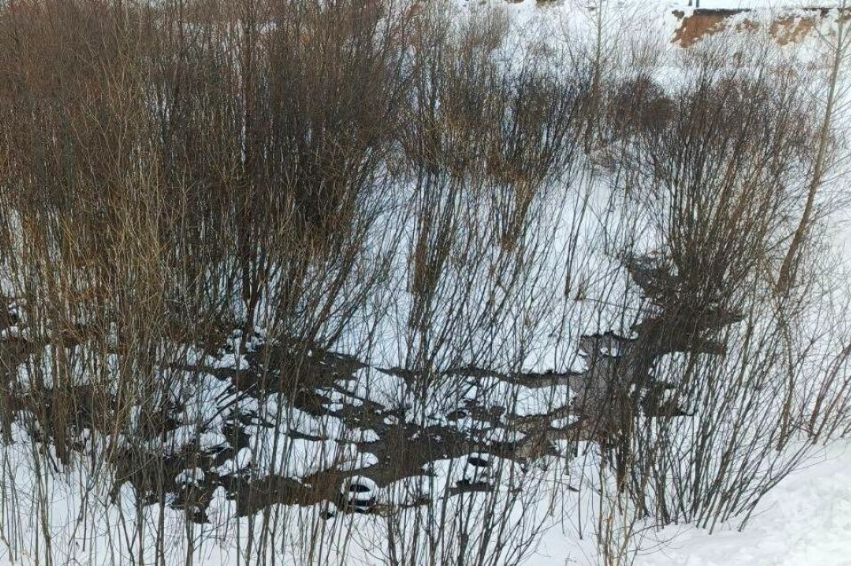    Разлив воды на территории будущего парка 300-летия Барнаула. Источник: "Толк"