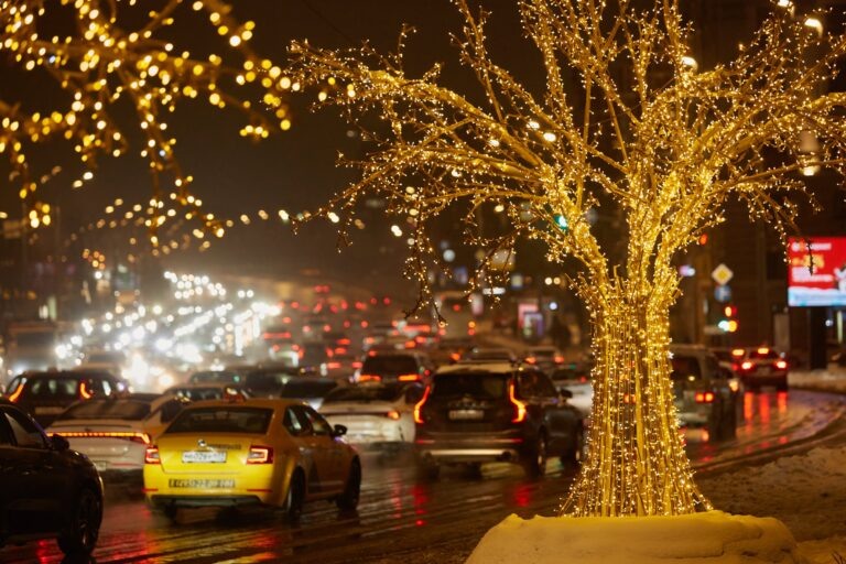    Фото: Белицкий Дмитрий/Агентство «Москва» Анастасия Давыдова